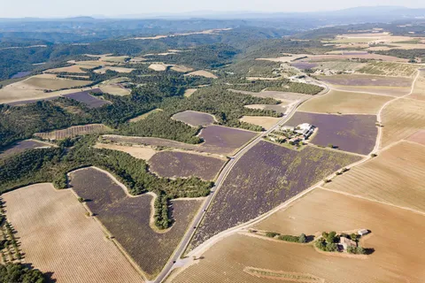 Champs de lavande vus du ciel, France — Nicolas Marincic