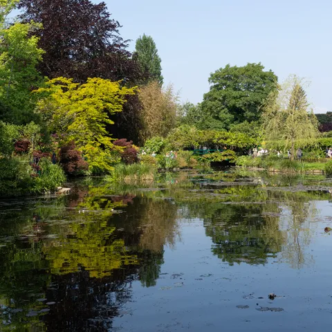 Reflets sur le bassin aux nymphéas de Monet, Giverny, France — Nicolas Marincic