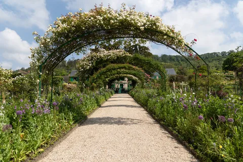 Arceaux de roses de la Grande Allée vers la maison de Monet, France — Nicolas Marincic