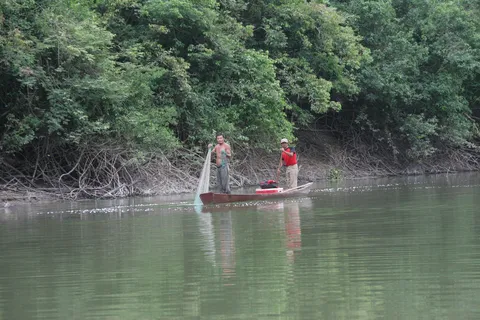 Fishermen casting nets on the river towards Aguateca, Guatemala — Nicolas Marincic