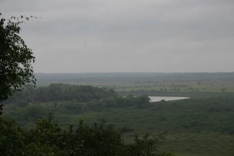 Forest and lagoon beneath a grey sky, Guatemala — Nicolas Marincic