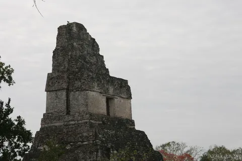 Tikal temple beneath a grey sky, Guatemala — Nicolas Marincic