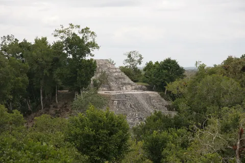 Maya pyramid amid the canopy, Guatemala — Nicolas Marincic