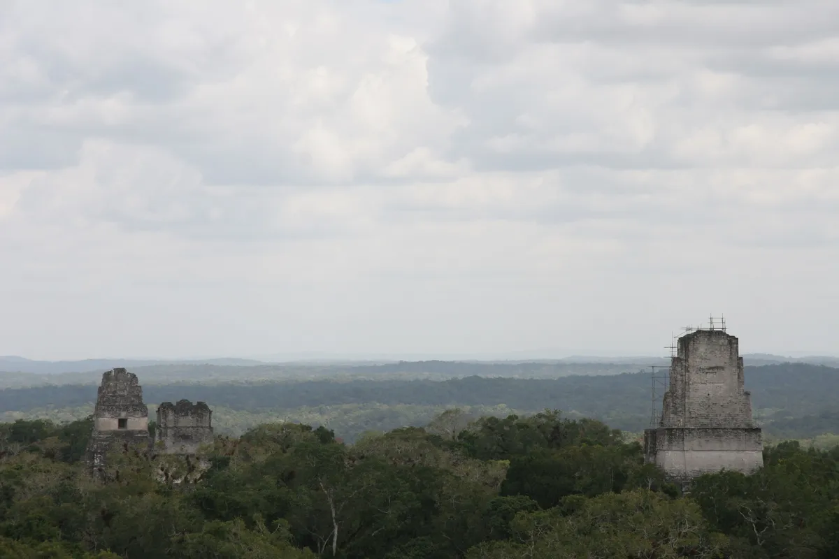 Temples of Tikal above the jungle, Guatemala — Nicolas Marincic