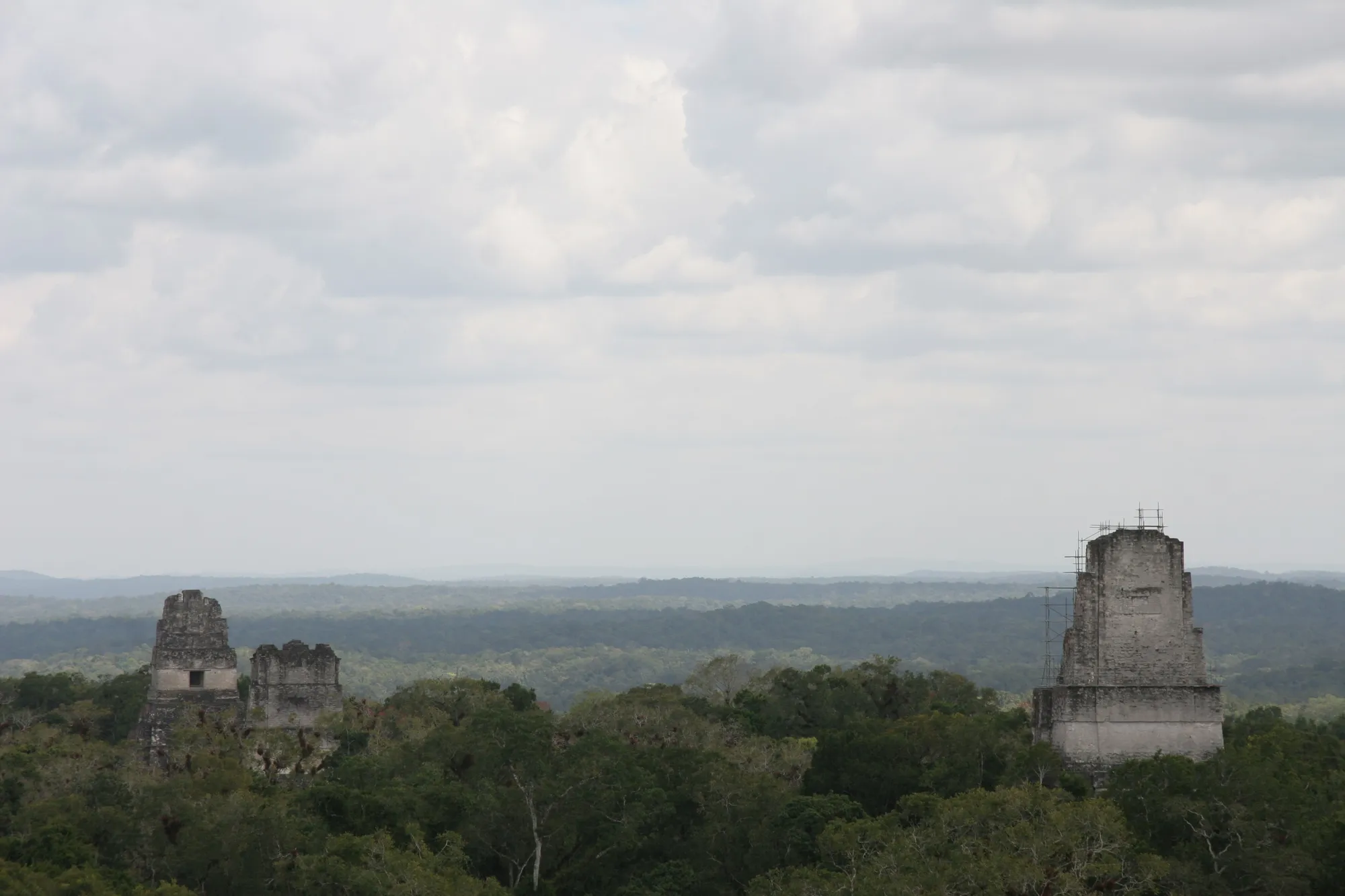 Temples of Tikal above the jungle, Guatemala — Nicolas Marincic