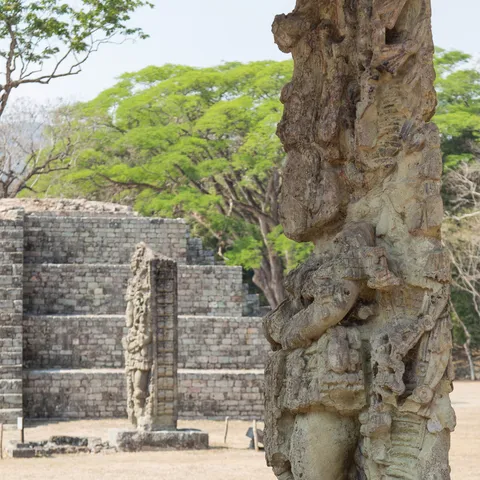 Stela and pyramid steps, Copán, Honduras — Nicolas Marincic