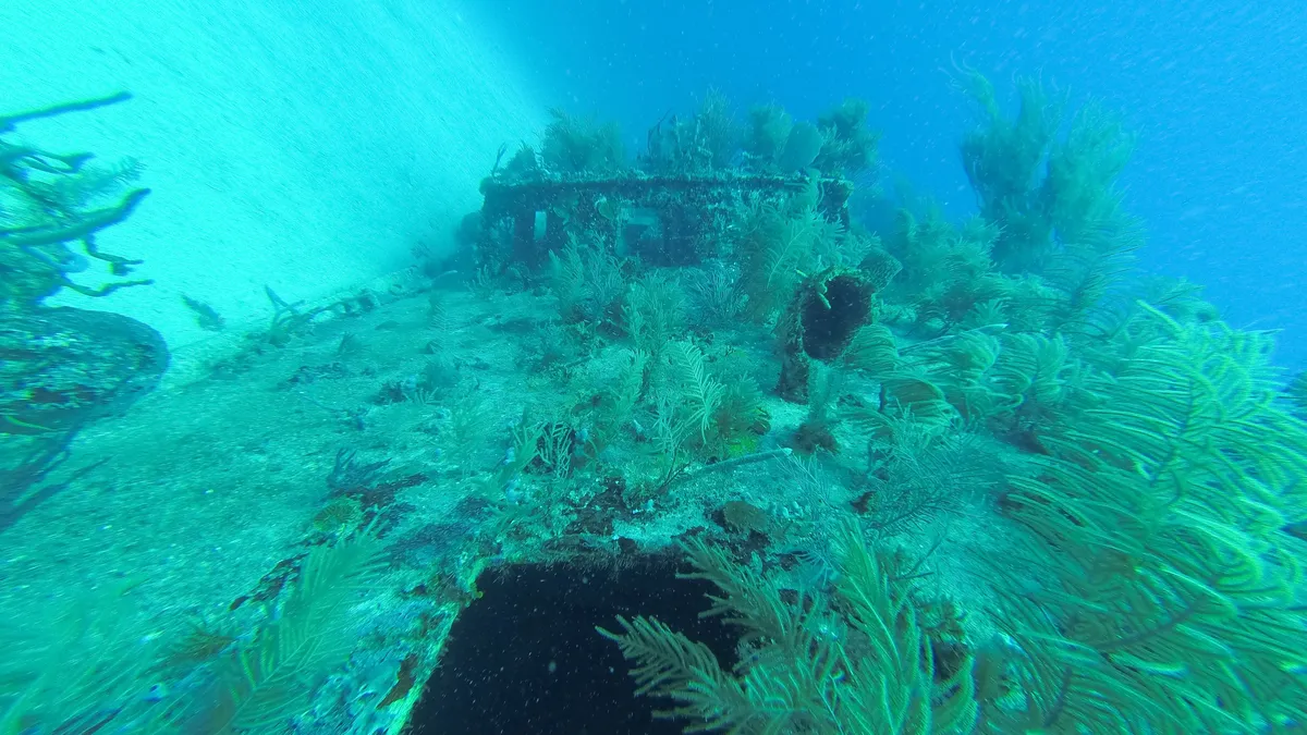 Coral-covered wreck, Utila, Honduras — Nicolas Marincic