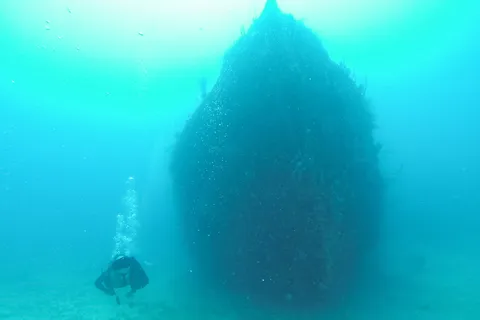 Diver beside the Halliburton wreck, Utila, Honduras — Nicolas Marincic