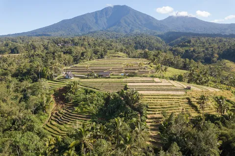 Rizières en terrasses sous le volcan, Bali, vue aérienne, Indonésie — Nicolas Marincic