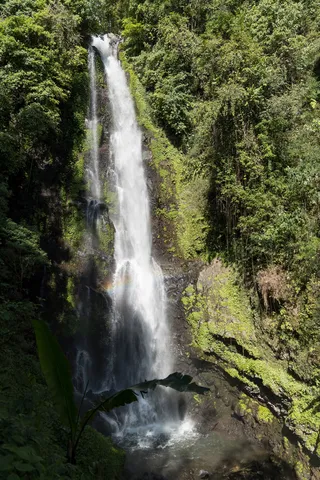 Haute cascade dans la jungle, Bali, Indonésie — Nicolas Marincic
