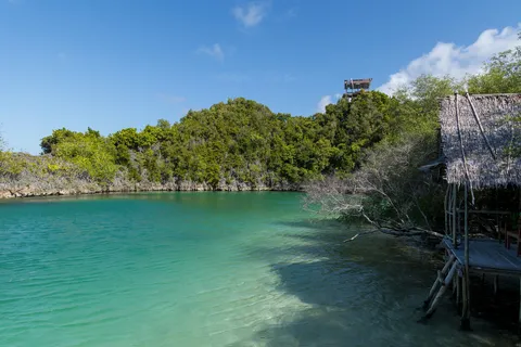 Lagon turquoise et îlots karstiques, Raja Ampat, Indonésie — Nicolas Marincic