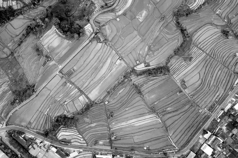 Rizières en terrasses vues du ciel, Indonésie — Nicolas Marincic
