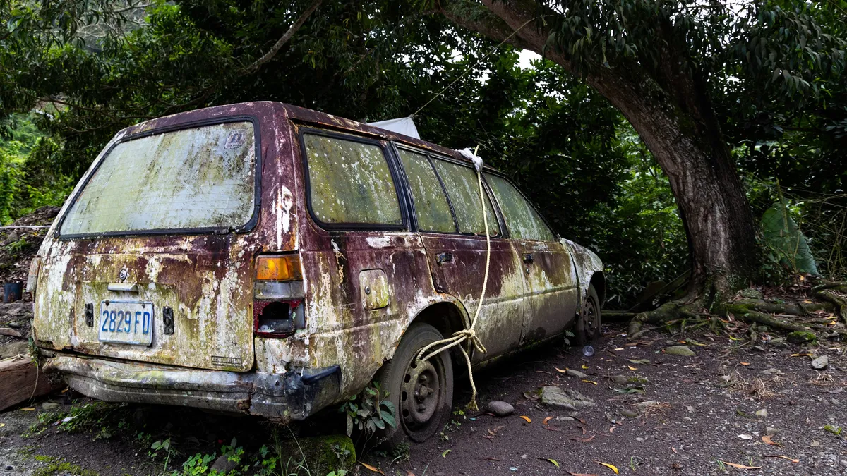 Rusted car reclaimed by the jungle, Jamaica — Nicolas Marincic
