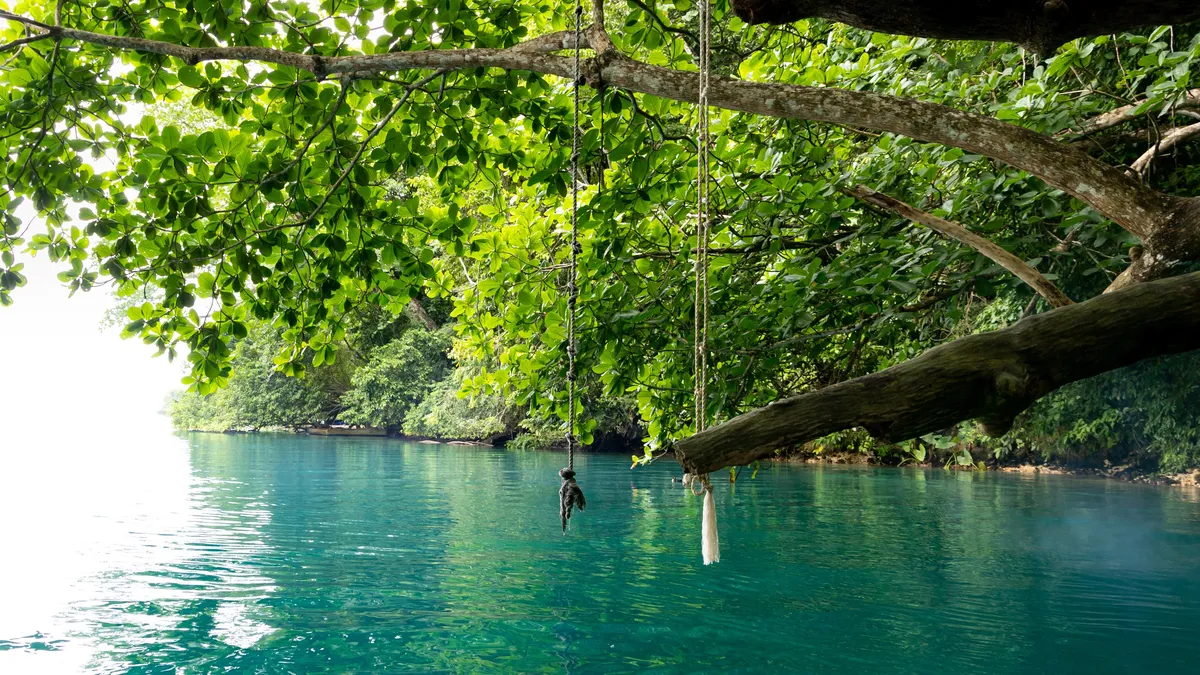 Rope swing over the Blue Lagoon, Port Antonio, Jamaica — Nicolas Marincic