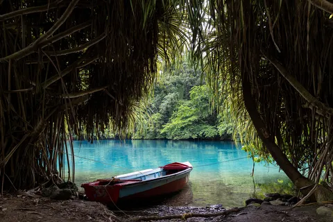 Boat beneath hanging roots at the Blue Lagoon, Jamaica — Nicolas Marincic