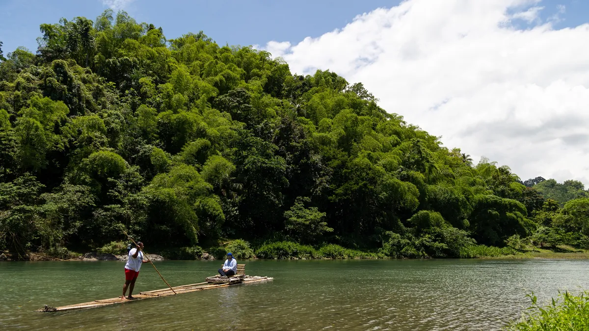 Bamboo raft on a tropical river, Jamaica — Nicolas Marincic