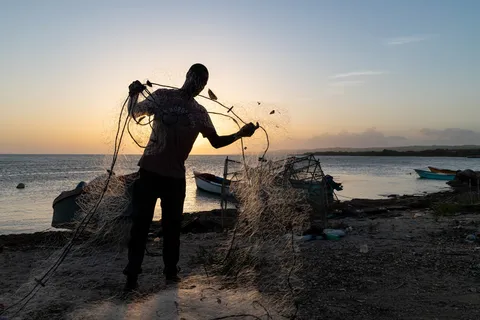 Fisherman untangling his net at dusk, Jamaica — Nicolas Marincic