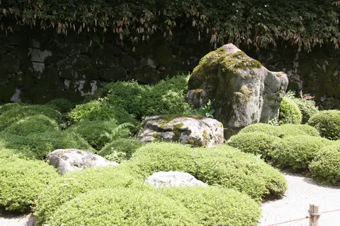 Mousse et azalées taillées dans un jardin de temple, Kyoto, Japon — Nicolas Marincic