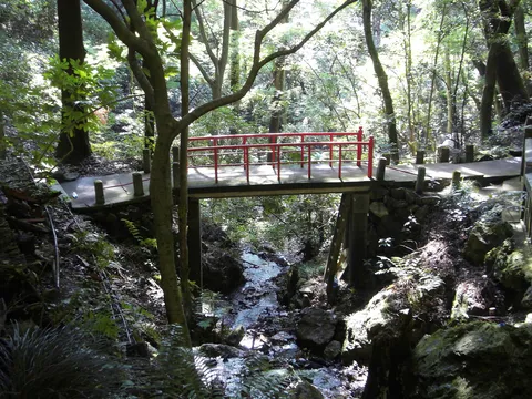 Red bridge over a forest stream, Japan — Nicolas Marincic