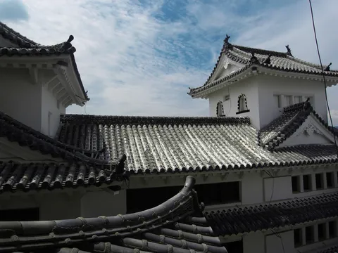 Toits du château de Himeji, Japon — Nicolas Marincic