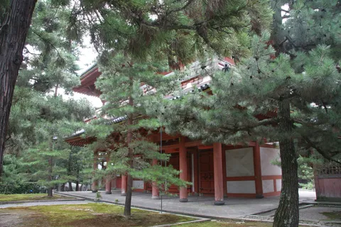 Vermilion temple gate among the pines, Japan — Nicolas Marincic