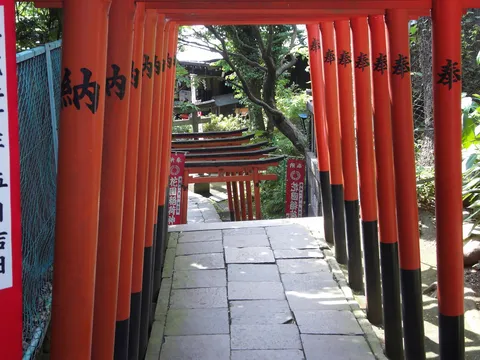 Tunnel de torii du sanctuaire Hanazono Inari, Ueno, Japon — Nicolas Marincic