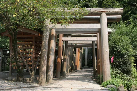 Wooden torii along a shrine path, Japan — Nicolas Marincic