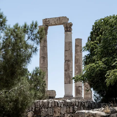 Temple of Hercules columns framed by pines, Amman Citadel, Jordan — Nicolas Marincic