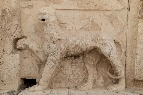 Relief of a lioness at Qasr al-Abd, Jordan — Nicolas Marincic
