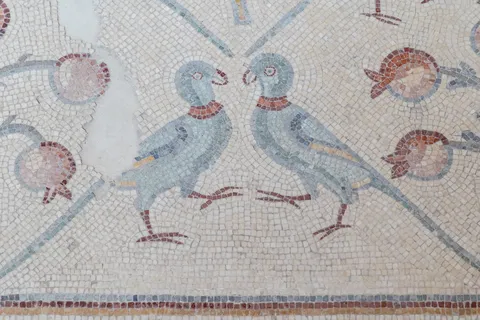 Birds and pomegranates on a Byzantine mosaic, Jordan — Nicolas Marincic