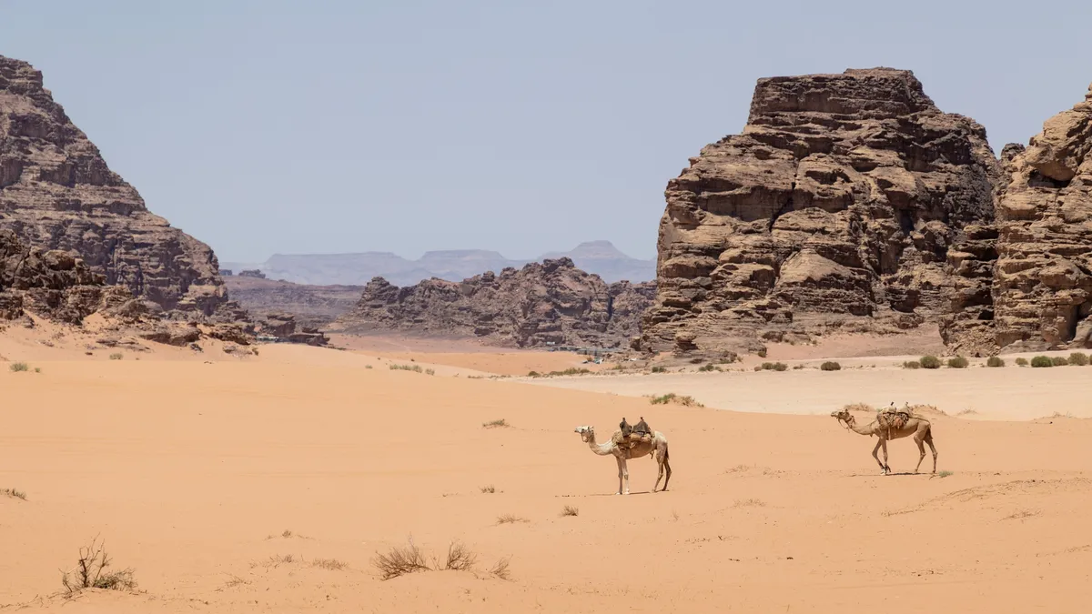 Camels crossing a sandy valley, Wadi Rum, Jordan — Nicolas Marincic