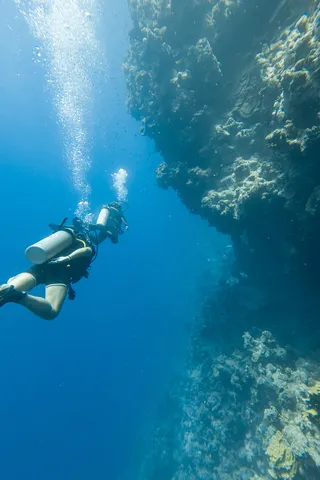 Diver along a coral wall, Dahab, Egypt — Nicolas Marincic