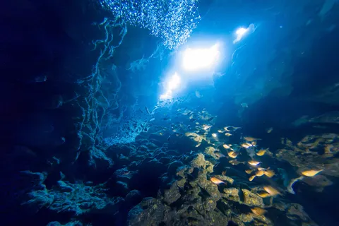 Cave with sunbeams and glassfish, Dahab, Egypt — Nicolas Marincic