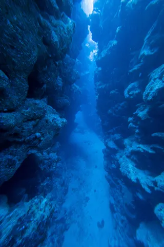 Underwater crevice in the reef, Egypt — Nicolas Marincic