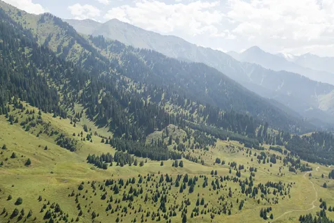 Valley clad in spruce forest, Kyrgyzstan — Nicolas Marincic