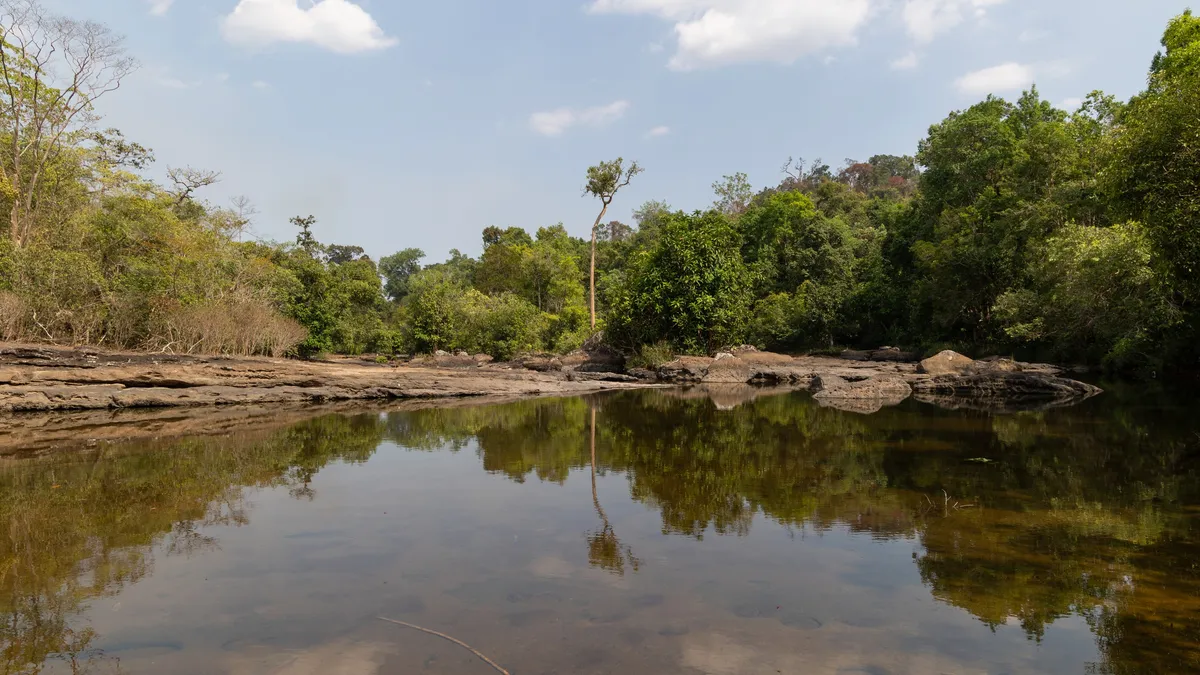 Forest-lined river in the dry season, Laos — Nicolas Marincic