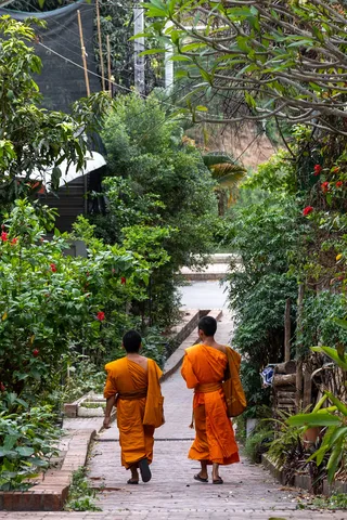 Monks walking down a leafy stairway, Laos — Nicolas Marincic