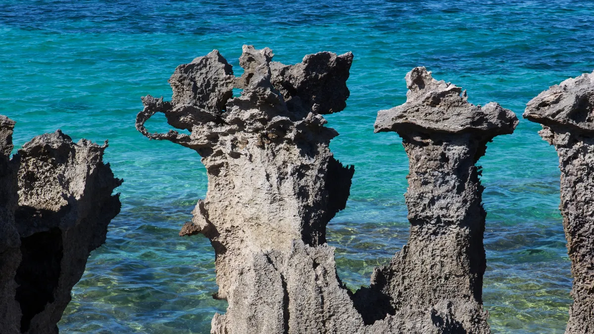Limestone pinnacles above the Emerald Sea, Madagascar — Nicolas Marincic