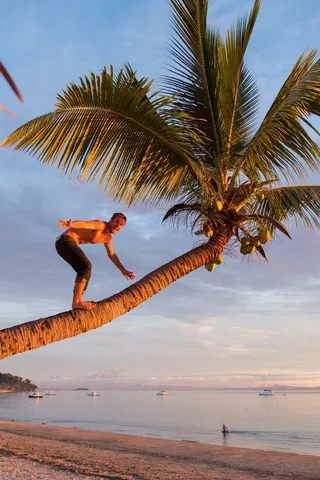 Man climbing a coconut palm at sunset, Nosy Be, Madagascar — Nicolas Marincic