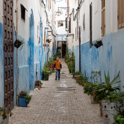 Blue alley lined with plants, Kasbah of the Udayas, Morocco — Nicolas Marincic