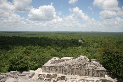 Rainforest stretching away from a pyramid top, Mexico — Nicolas Marincic