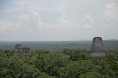 Temples rising above the canopy from Temple IV, Tikal, Guatemala — Nicolas Marincic