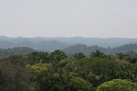 Maya Mountains above the forest, Belize — Nicolas Marincic