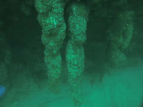 Submerged stalactites in the Great Blue Hole, Belize — Nicolas Marincic