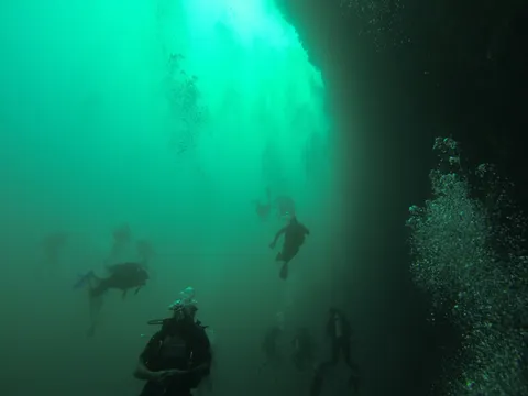 Divers in the green light of the Great Blue Hole, Belize — Nicolas Marincic
