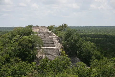 Pyramide de Calakmul émergeant de la forêt, Mexique — Nicolas Marincic