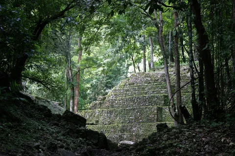 Édifice maya dans la jungle, Yaxchilán, Mexique — Nicolas Marincic