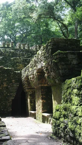 Édifice voûté dans la forêt, Yaxchilán, Mexique — Nicolas Marincic