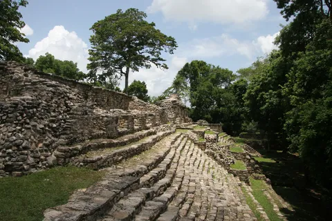 Stone terraces overgrown by the forest, Mexico — Nicolas Marincic