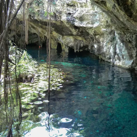 Eau turquoise sous la roche d’un cenote près de Tulum, Mexique — Nicolas Marincic